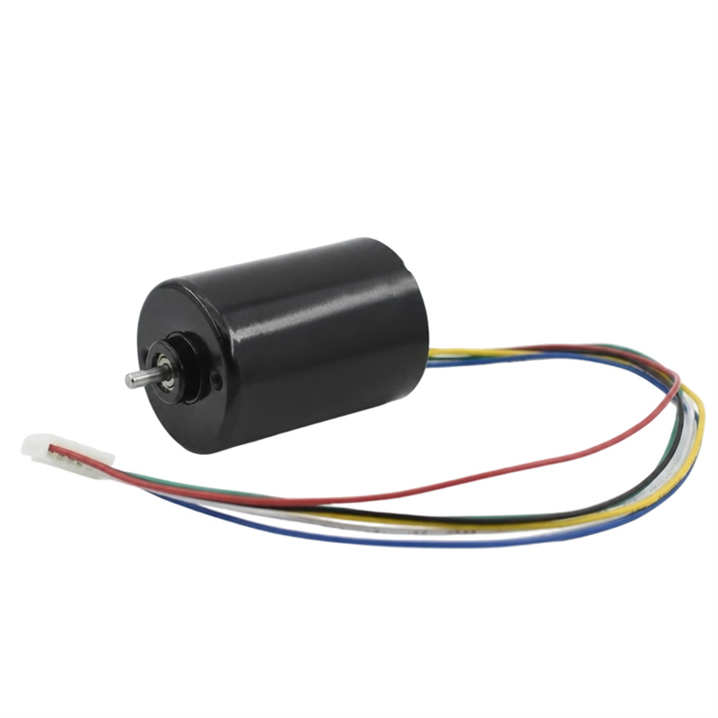 3650BL Fırçasız DC Motor